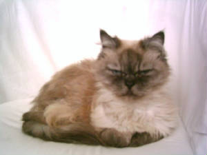 phto0009.jpg